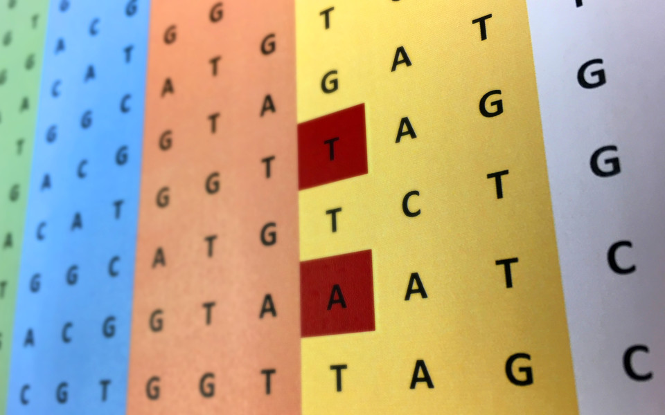 Genetic reading frame (c) Max Perutz Labs