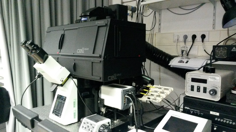 Olympus cellSens
