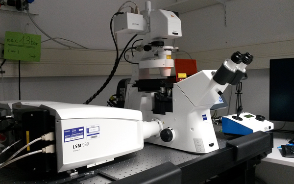 Zeiss LSM 980
