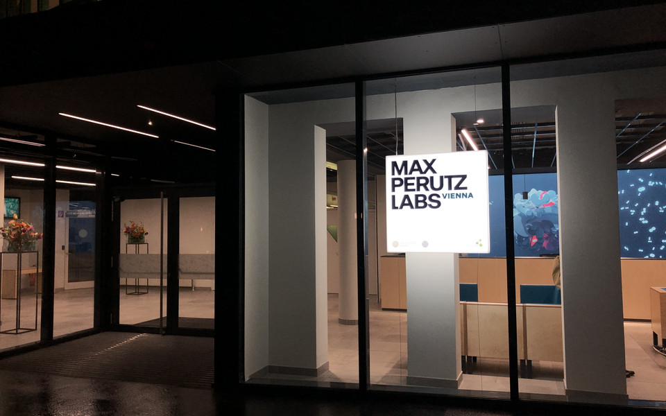 (c) Max Kropitz for Max Perutz Labs