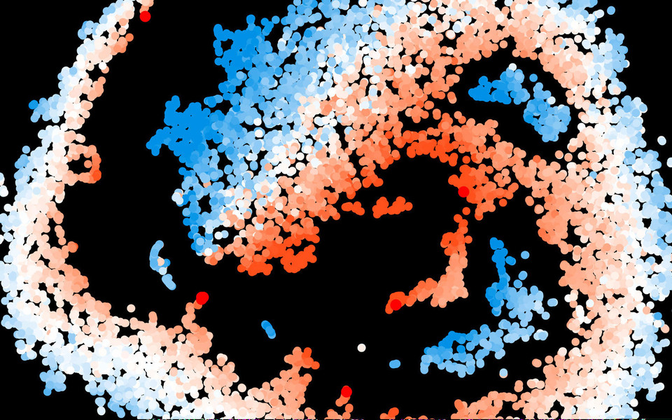 Snapshot of a t-sne plot showing all genes differentially expressed between ES cells and cells 24 hours after the onset of differentiation. Red dots indicate genes down-regulated during differentiation, blue dots indicate genes up-regulated during differentiation. Large red dots are known naïve pluripotency specific transcription factor encoding genes. ©Martin Leeb