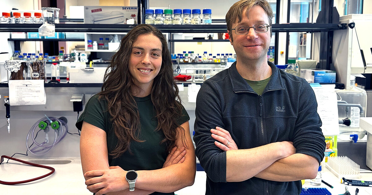 The more, the merrier? How extra chromosomes help cancer cells